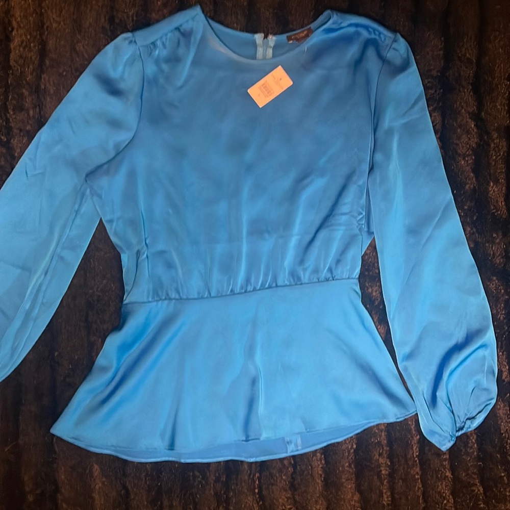 Blue Ann Taylor Peplum Blouse